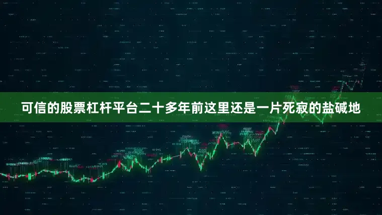 可信的股票杠杆平台二十多年前这里还是一片死寂的盐碱地