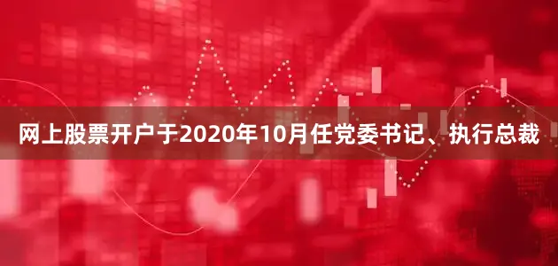 网上股票开户于2020年10月任党委书记、执行总裁
