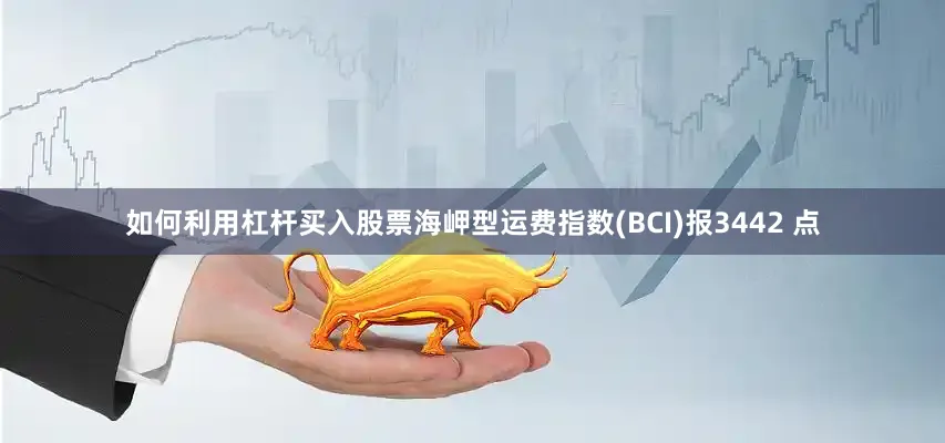 如何利用杠杆买入股票海岬型运费指数(BCI)报3442 点