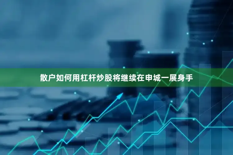 散户如何用杠杆炒股将继续在申城一展身手